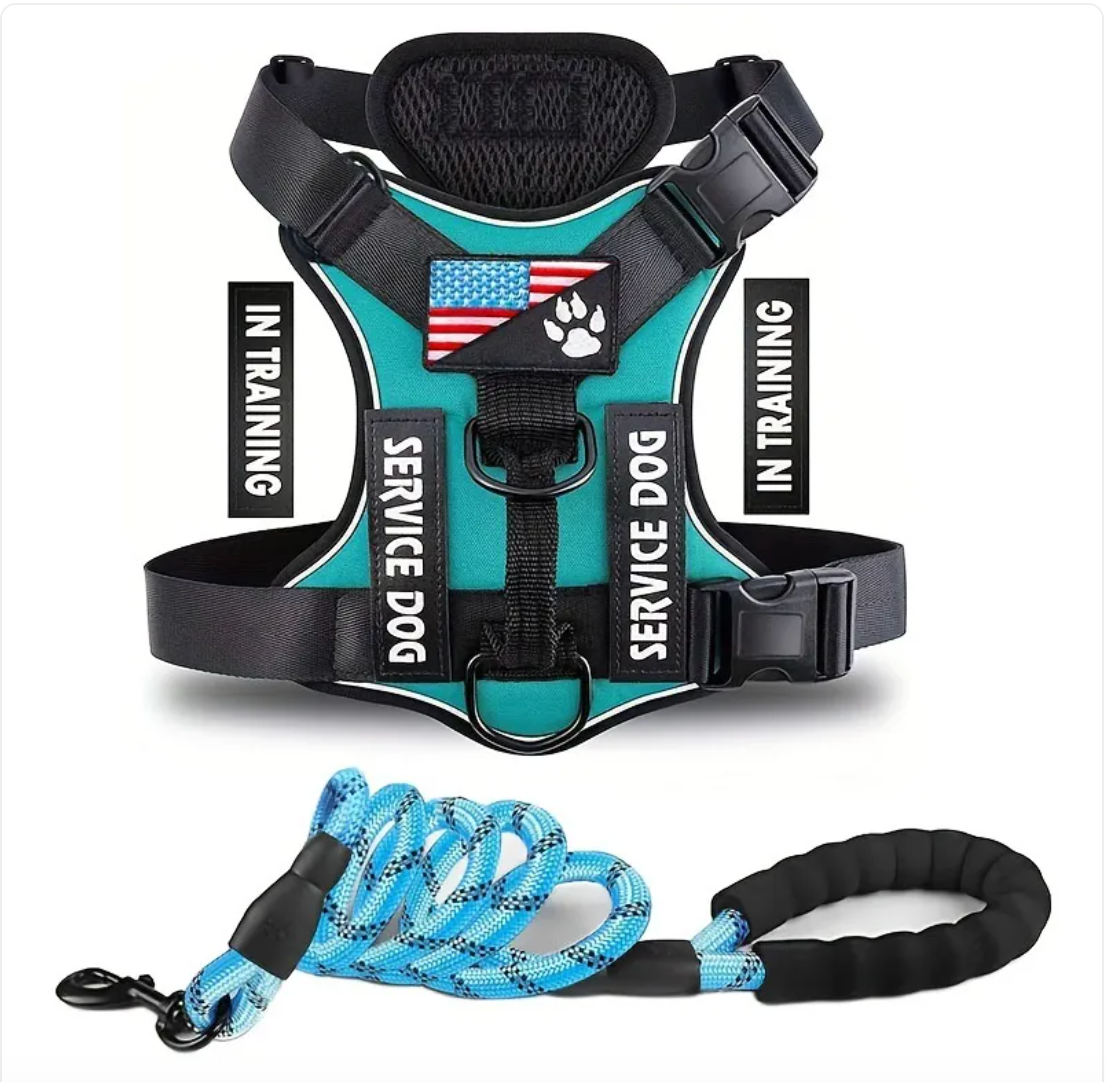 Adjustable Dog Harness & Leash Set