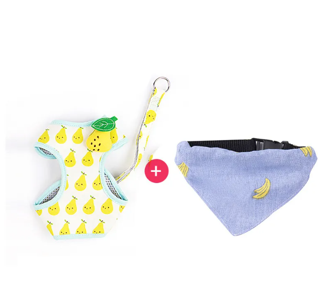 Fruit Cat Harness & Leash Set