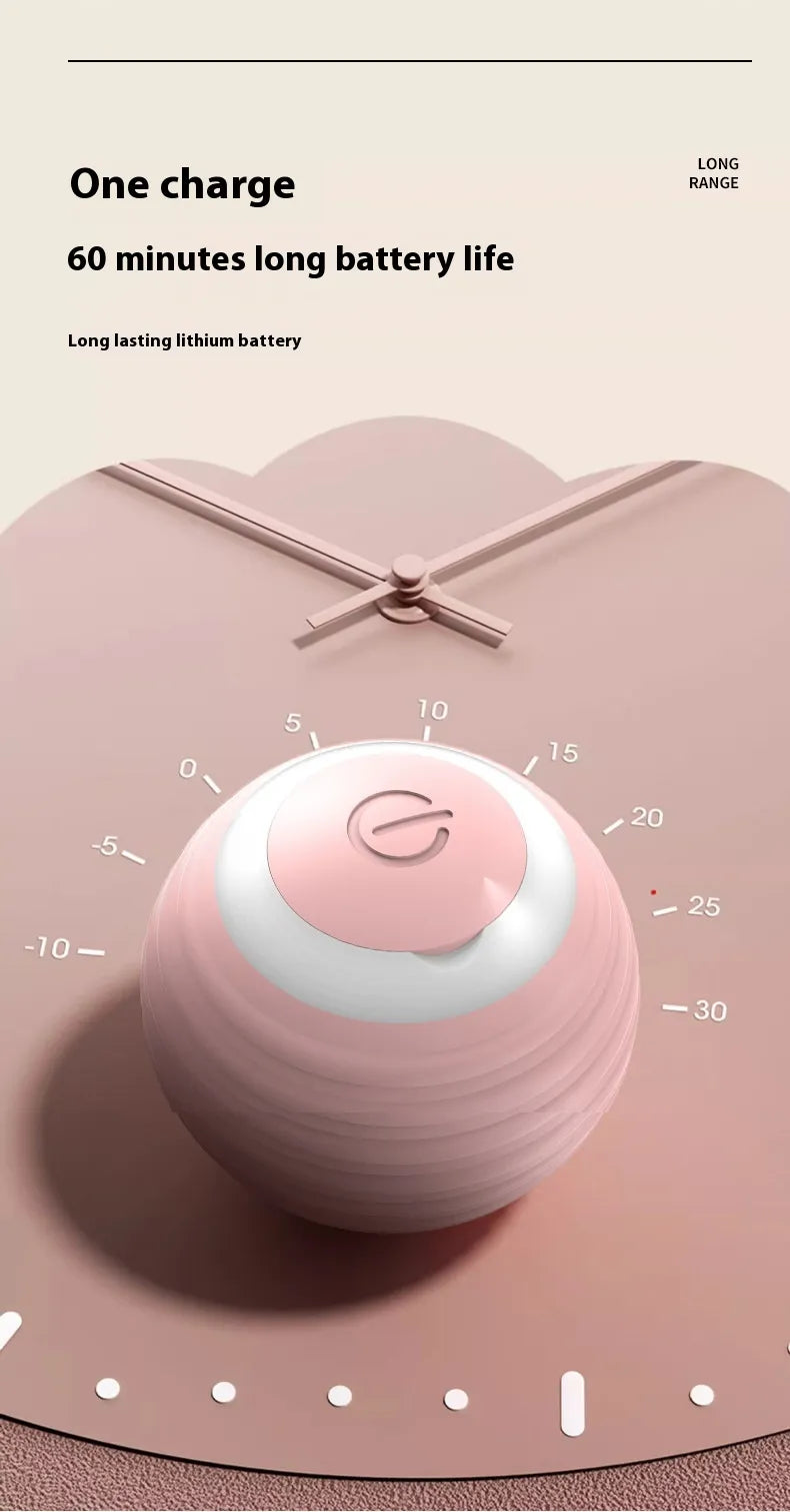 Smart Bouncing Pet Ball