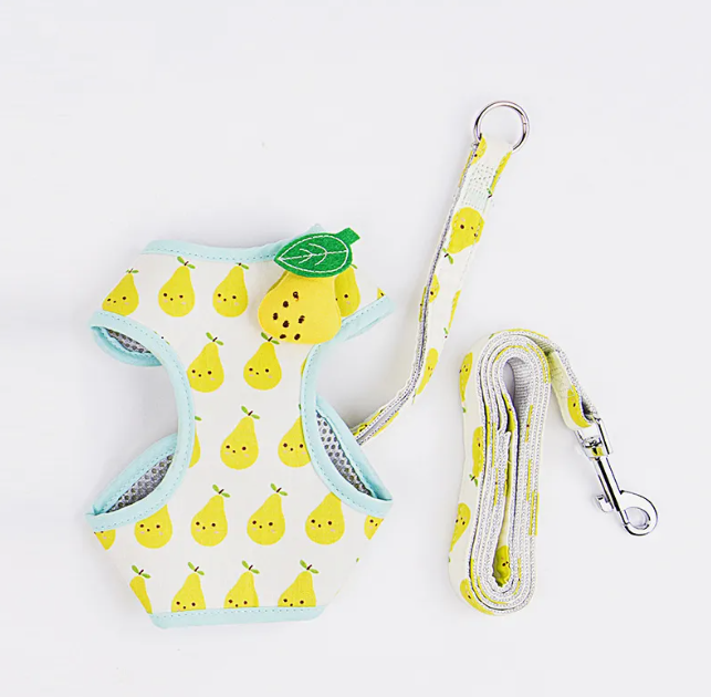 Fruit Cat Harness & Leash Set
