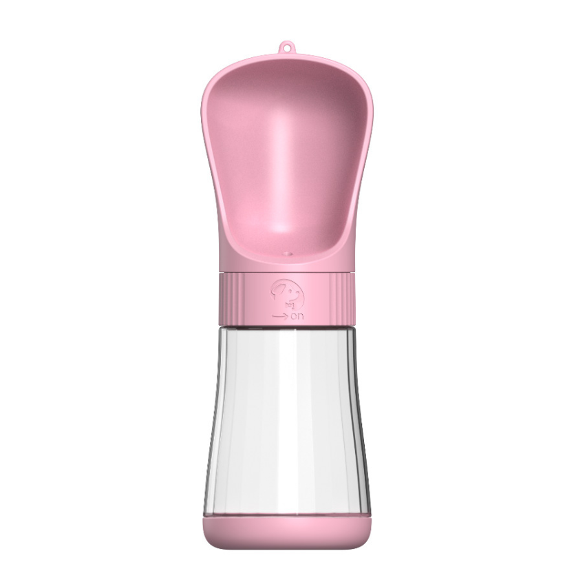 2-in-1 Walk Water Bottle