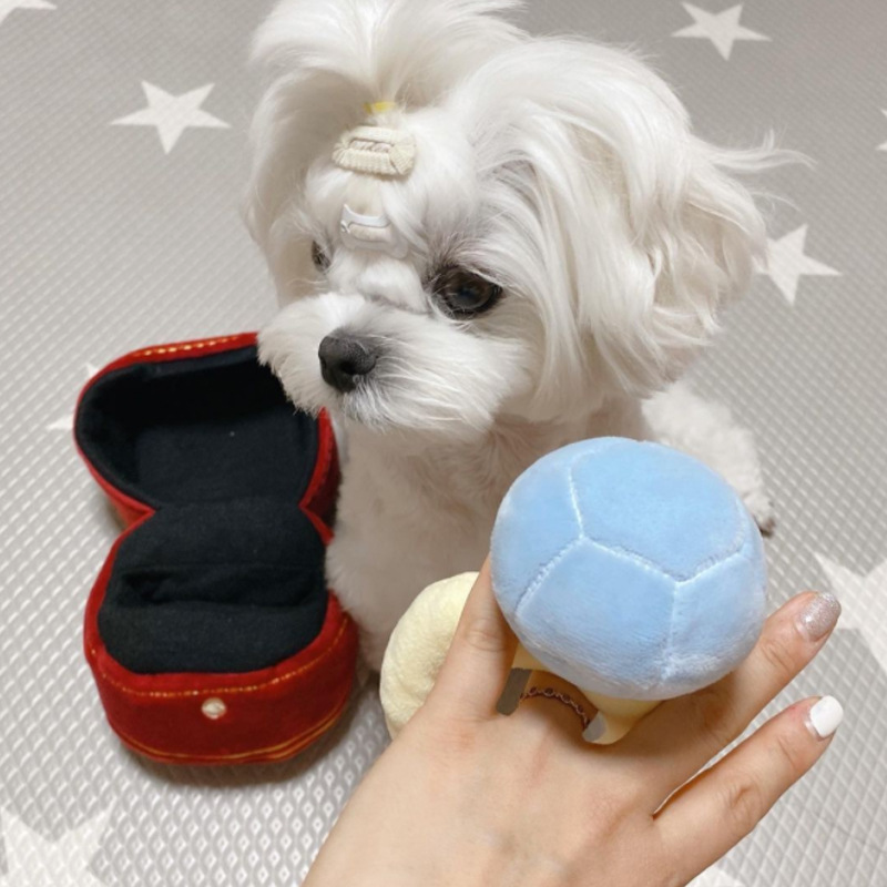 Diamond Ring Squeaky Plush