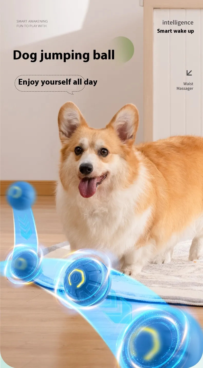 Smart Bouncing Pet Ball