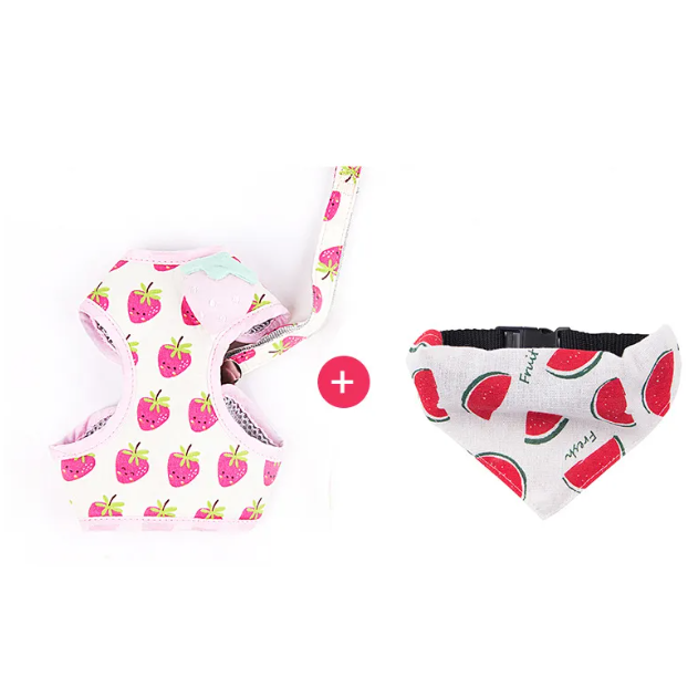 Fruit Cat Harness & Leash Set