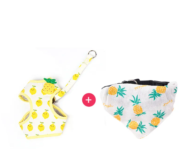 Fruit Cat Harness & Leash Set