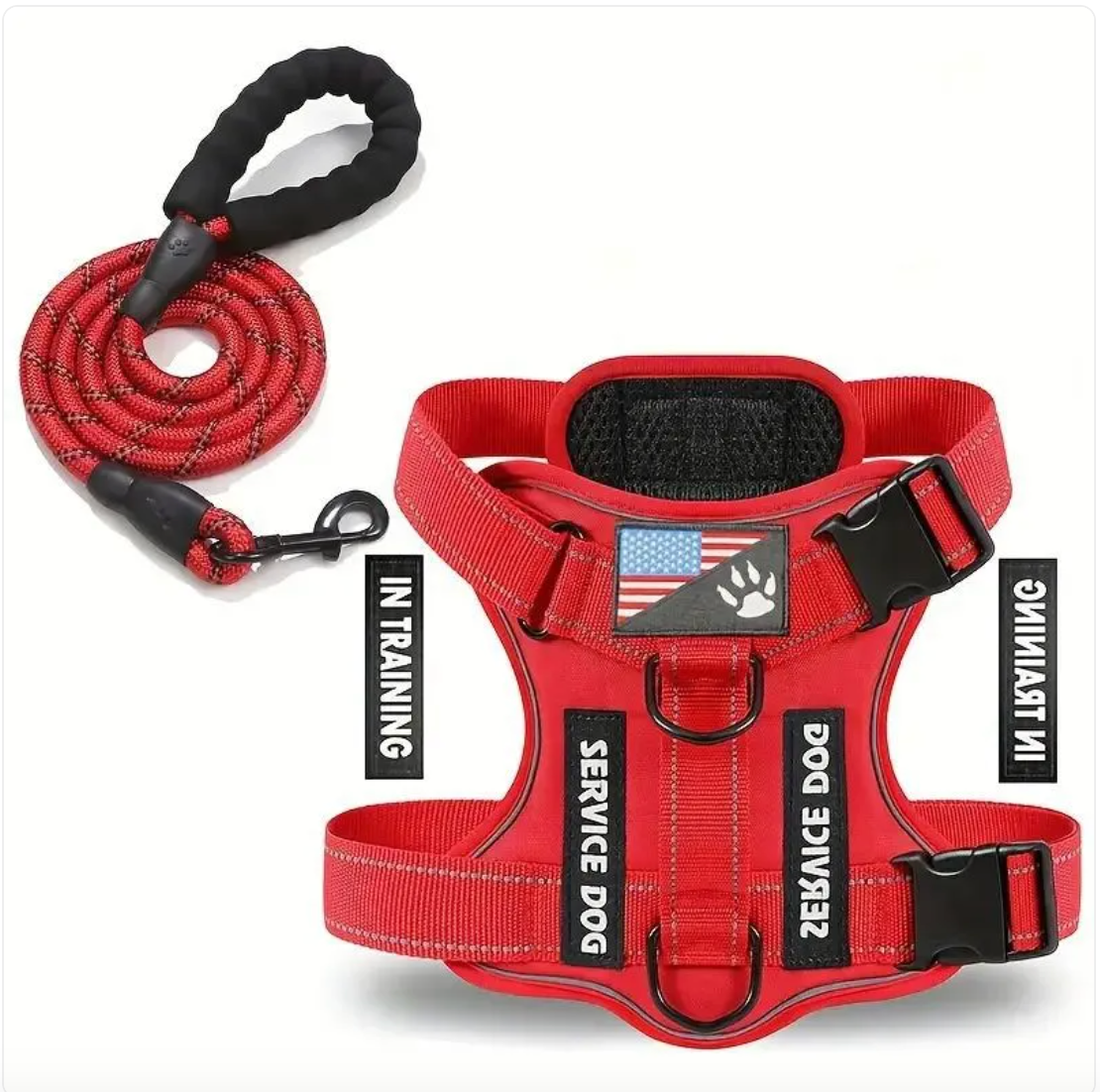 Adjustable Dog Harness & Leash Set