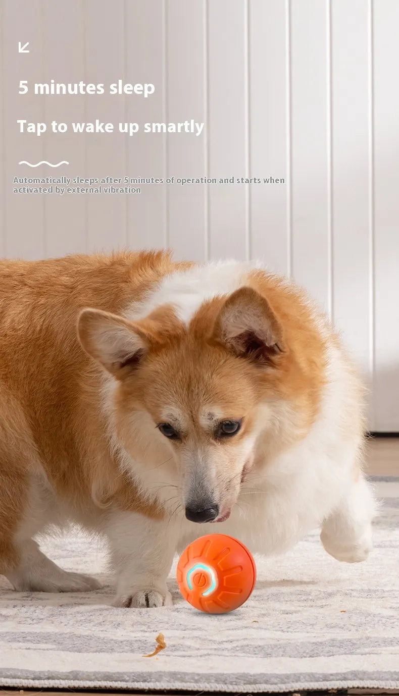Smart Bouncing Pet Ball