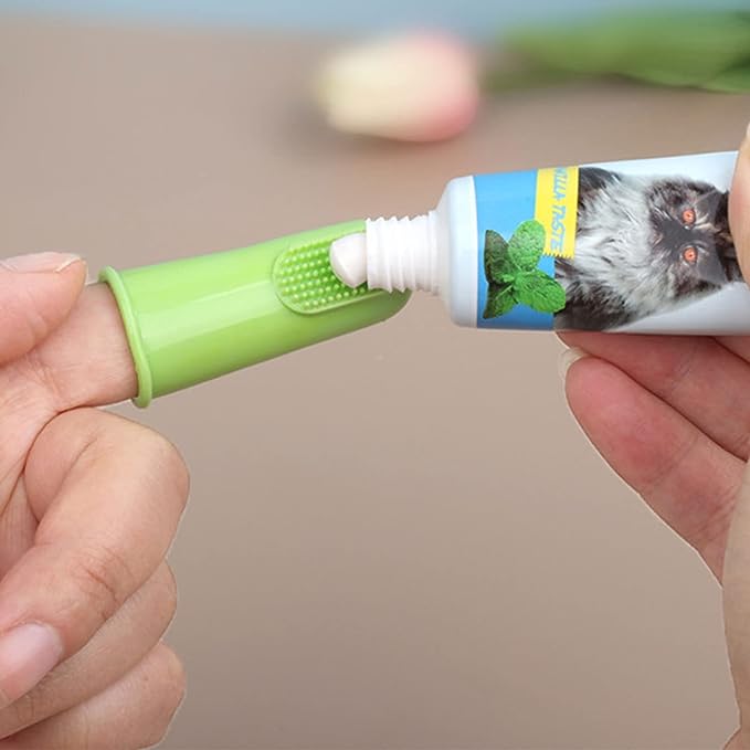 Finger Toothbrush Set (4 pcs)