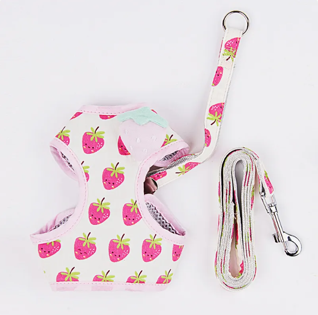 Fruit Cat Harness & Leash Set