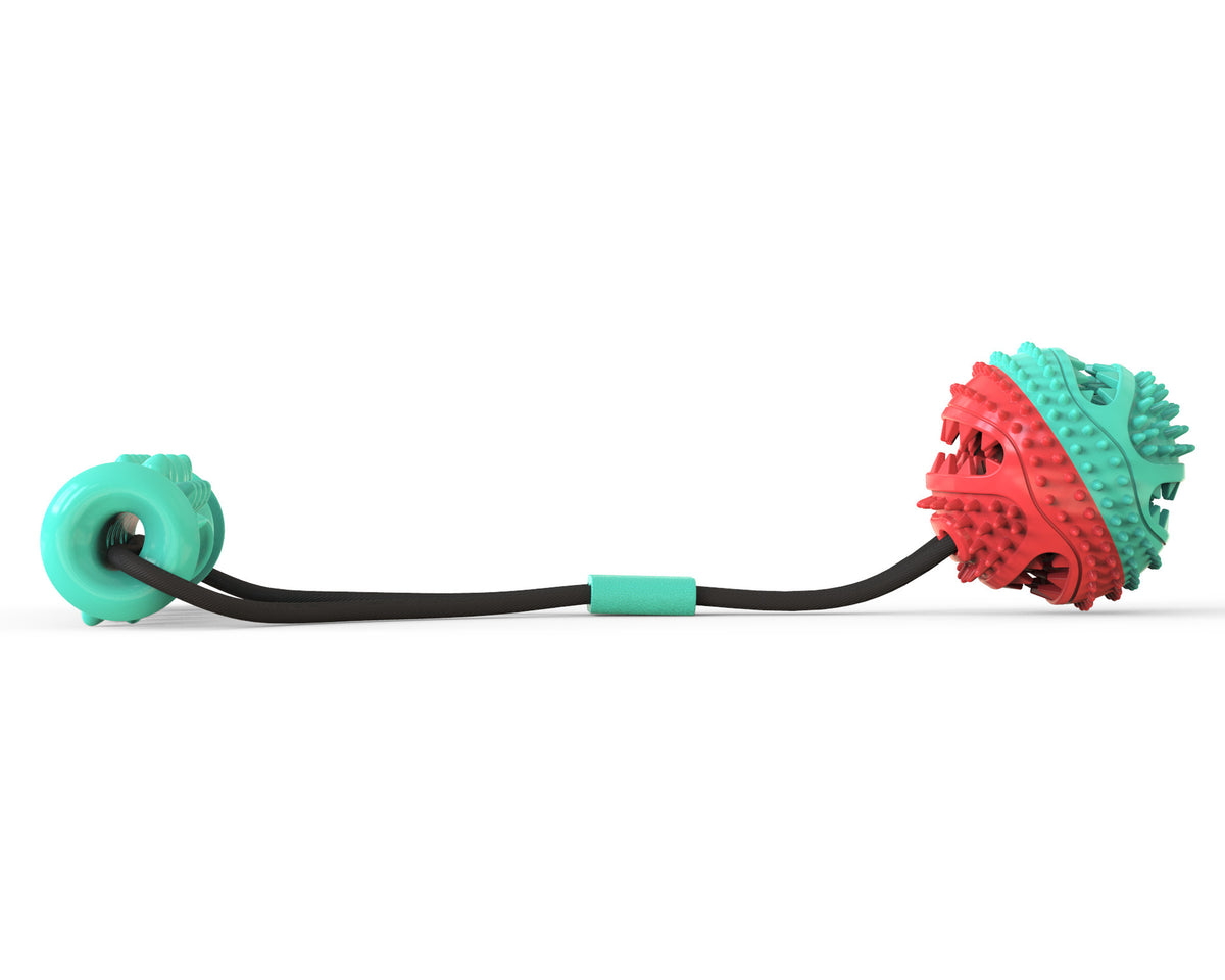 Tug Rope Training Ball