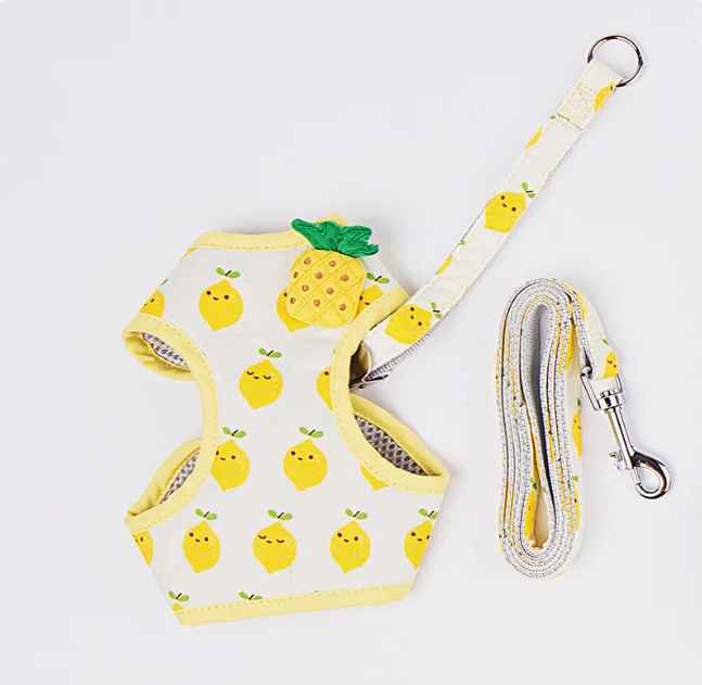 Fruit Cat Harness & Leash Set
