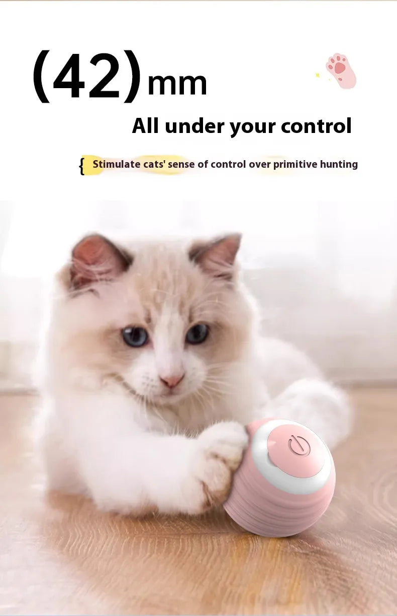 Smart Bouncing Pet Ball
