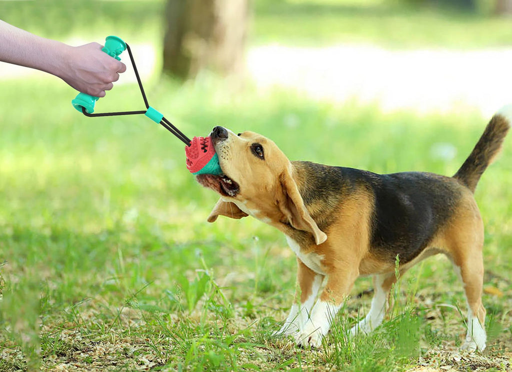 Tug Rope Training Ball