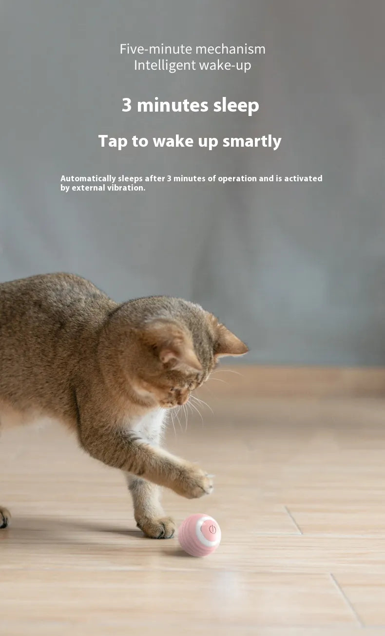 Smart Bouncing Pet Ball